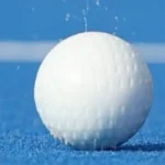 WEF highlights FIH’s work to drive positive environmental and social impact
