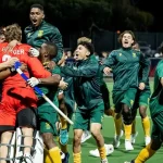 France and South Africa in the Final!